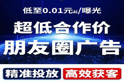 百度竞价广告的投放策略与成功案例分析